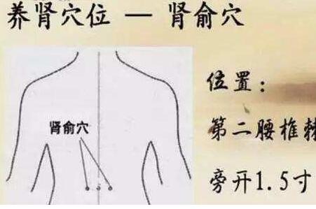 精子畸形按摩哪里好