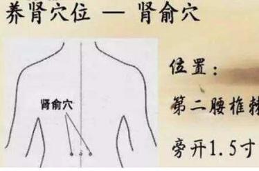 精子畸形按摩哪里好