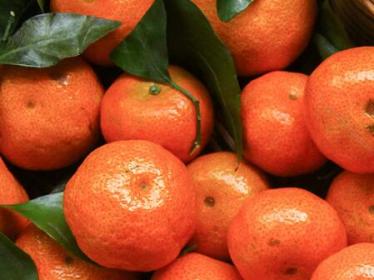 精子畸形率高吃橘子可以吗