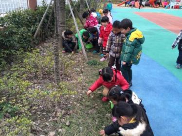 幼儿园中班社会城市美容师教案2