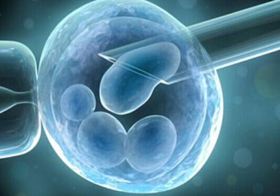 试管婴儿胚胎移植费用多少钱