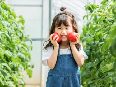 3岁女孩可以学什么舞蹈