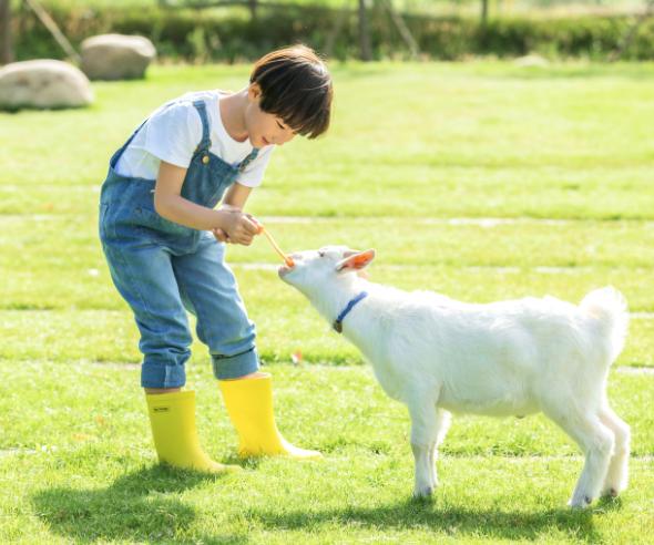 孩子內(nèi)向不合群怎么辦