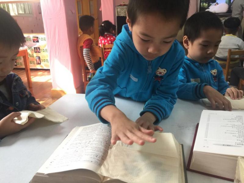 大班科学树叶找家教案1