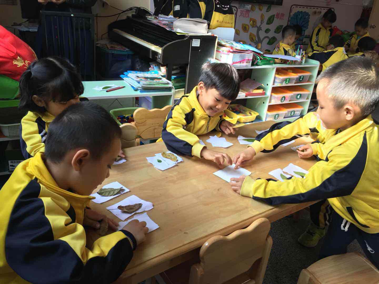 大班科学树叶找家教案2