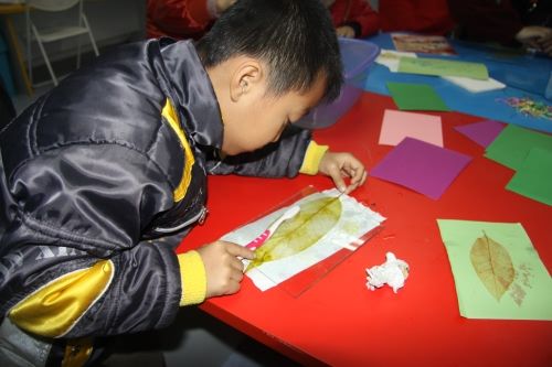 大班科学树叶找家教案3