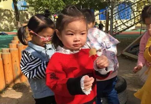 大班科学树叶书签教案1