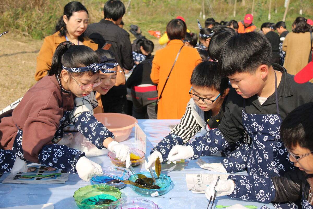 大班科学各种形状的叶子教案3