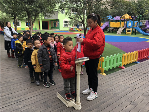 中班美术我们会长高教案2