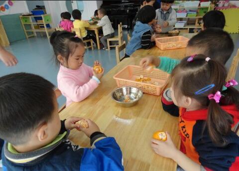 小班科学酸酸甜甜的橘子教案1