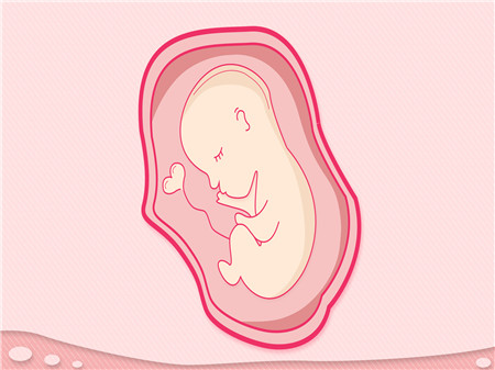 孕26周胎儿头围标准值