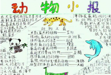 保护濒危动物手抄报内容1
