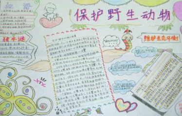 保护濒危动物手抄报内容2