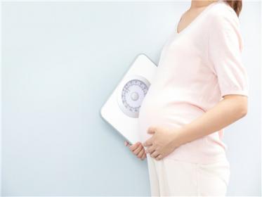 怀孕6个月要补充什么营养