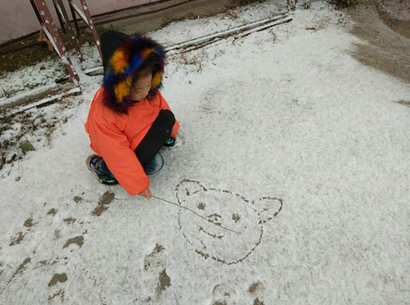 大班雪地里的小画家教案1
