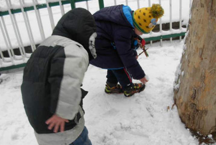 幼儿园大班雪地里的小画家教案2