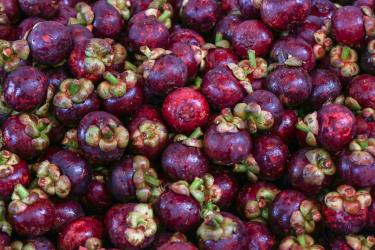 山竹去火还是下火