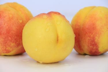 黄桃可以和梨子一起吃吗
