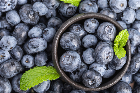 血糖高能不能吃蓝莓