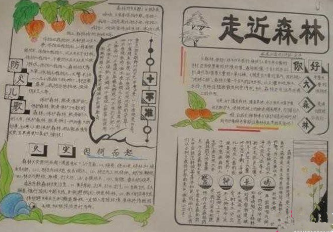 世界森林日手抄报小学四年级1