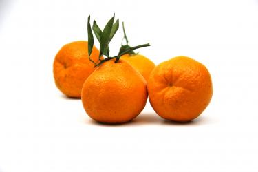 沃柑和普通橘子有什么区别