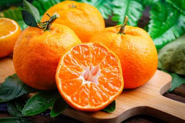 丑橘能和榴莲一起吃吗