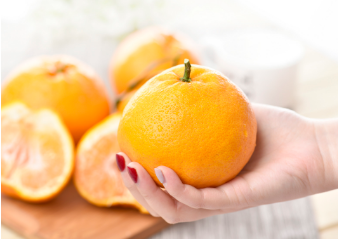 丑橘的功效与作用 丑橘有什么营养