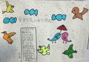 爱鸟护鸟手抄报简单又漂亮2