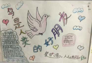 爱鸟护鸟手抄报简单又漂亮3
