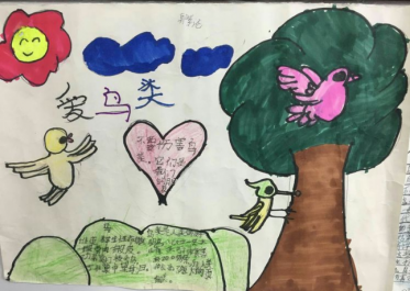 爱鸟护鸟手抄报简单小学生2