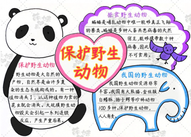 关于保护珍稀动物的手抄报内容1