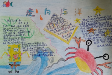 海洋的手抄报小学三年级3