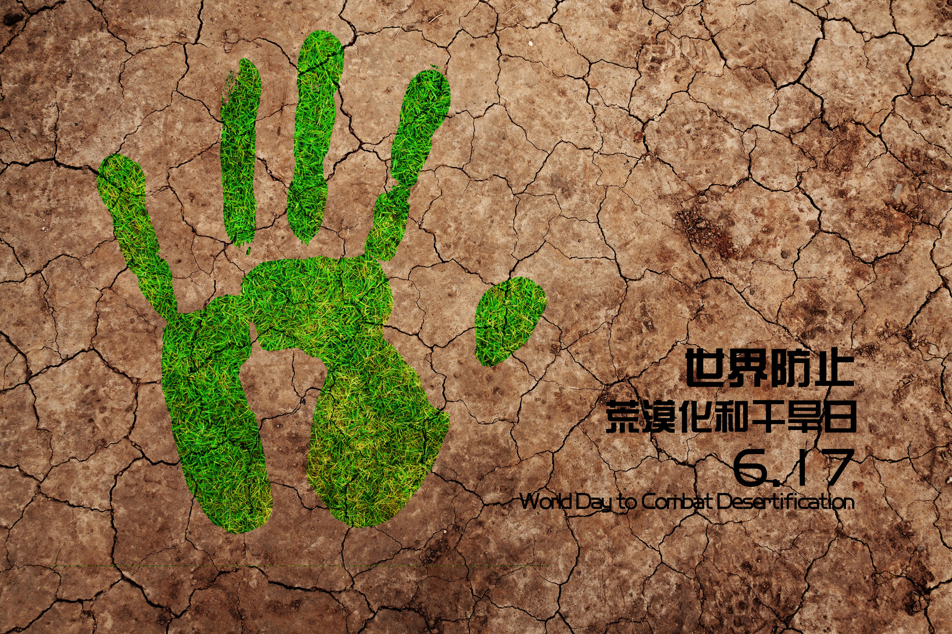 2020世界防治荒漠化和干旱日是哪一天1
