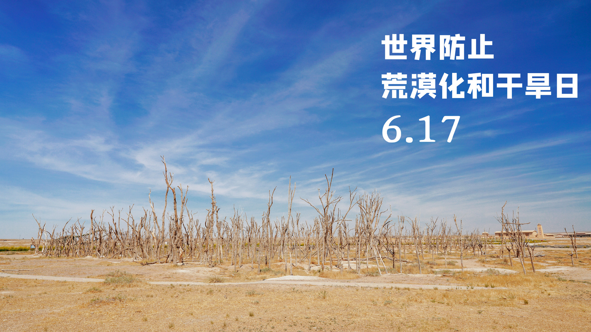 2020世界防治荒漠化和干旱日是哪一天2
