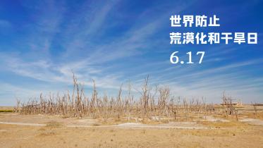 2020世界防治荒漠化和干旱日是哪一天2