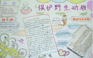 关于禁止吃野生动物的手抄报1