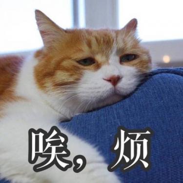 我吼烦是什么意思 我吼烦什么梗2