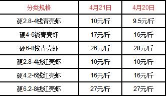 2020年龙虾多少钱一斤