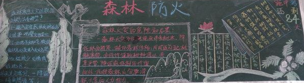 森林防火黑板报小学三年级3