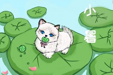 2020年小暑是几点几分几秒2