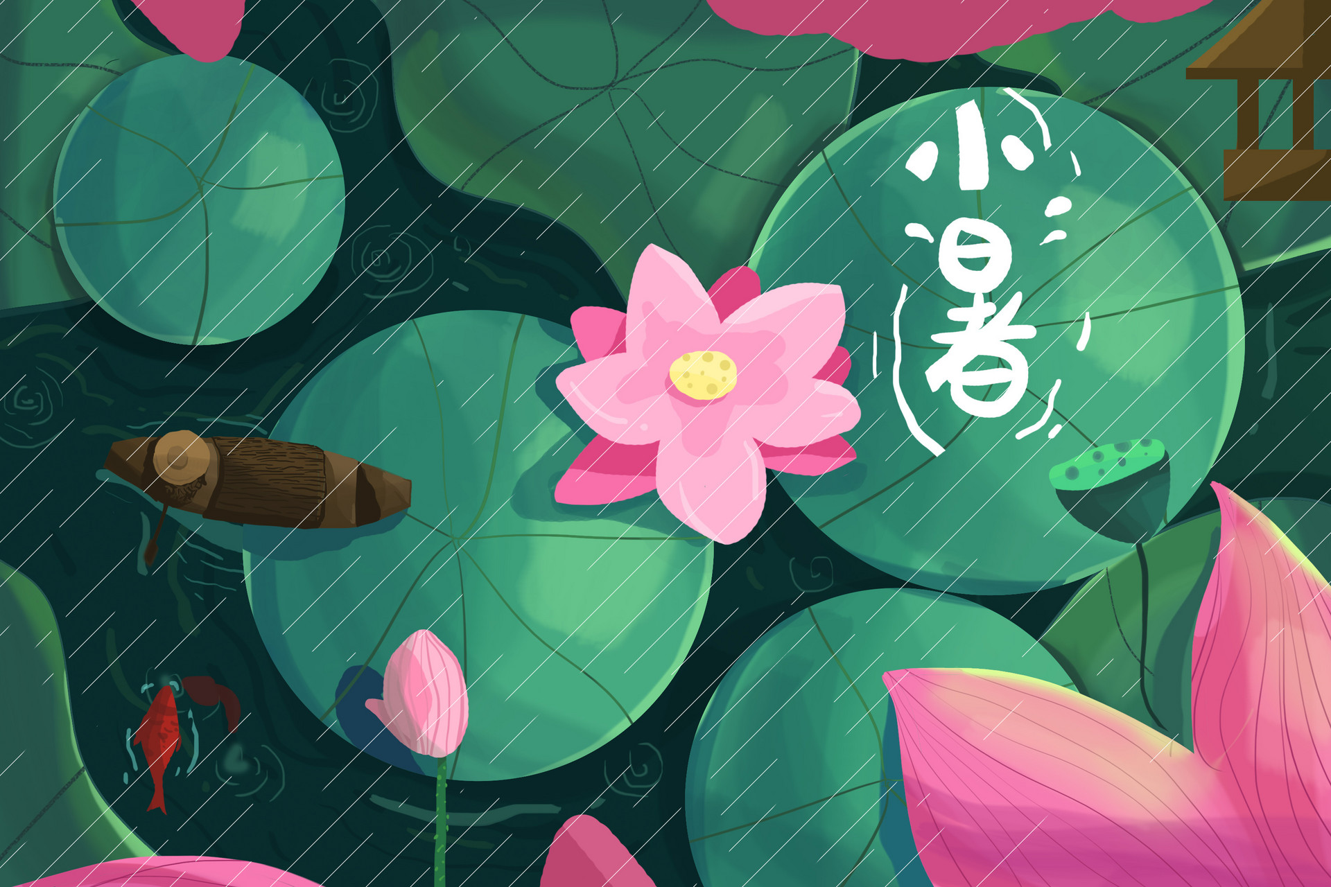 关于小暑的谚语或俗语 关于小暑的谚语有哪些3