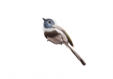 消失的好朋友的故事 消失的好朋友的故事