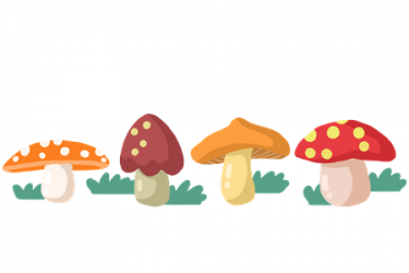 蘑菇花朵儿童故事