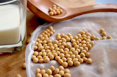 黄豆价格多少钱一斤2020