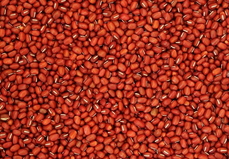 红豆的功效与作用禁忌