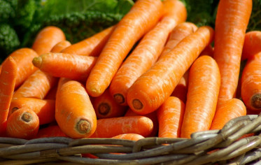 哺乳期可以是食用胡萝卜的吗