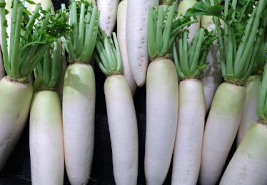 哺乳期冬天吃什么蔬菜会比较好