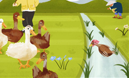 小溪流的歌故事