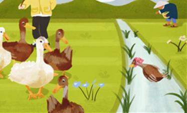 小溪流的歌故事