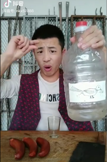 小鸟伏特加什么梗 小鸟伏特加什么意思zbc1